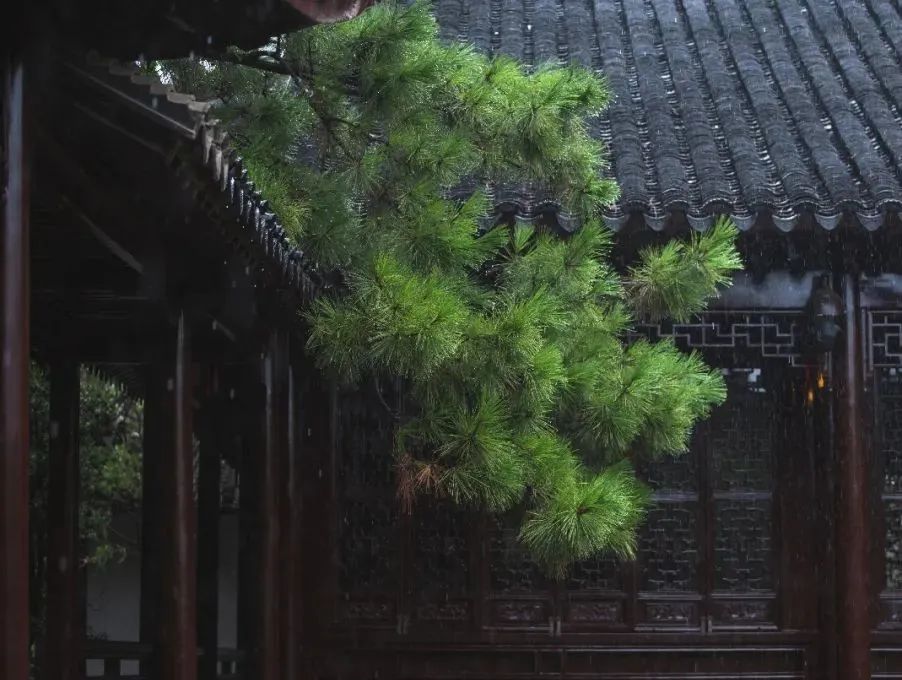 微信图片_20221021135921.jpg