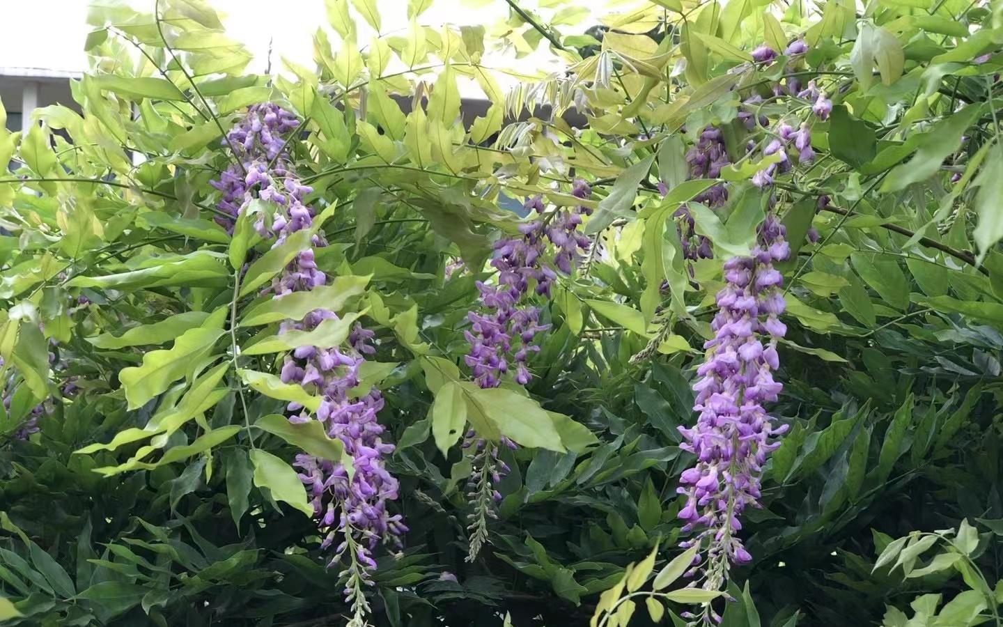 d1fd1d8e2f6acbf662259471a7d621a.jpg d1fd1d8e2f6acbf662259471a7d621a.jpg