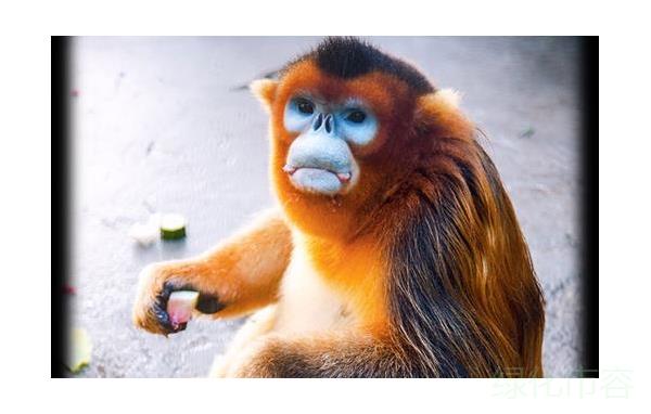 slide0097_image097.png slide0097_image097.png