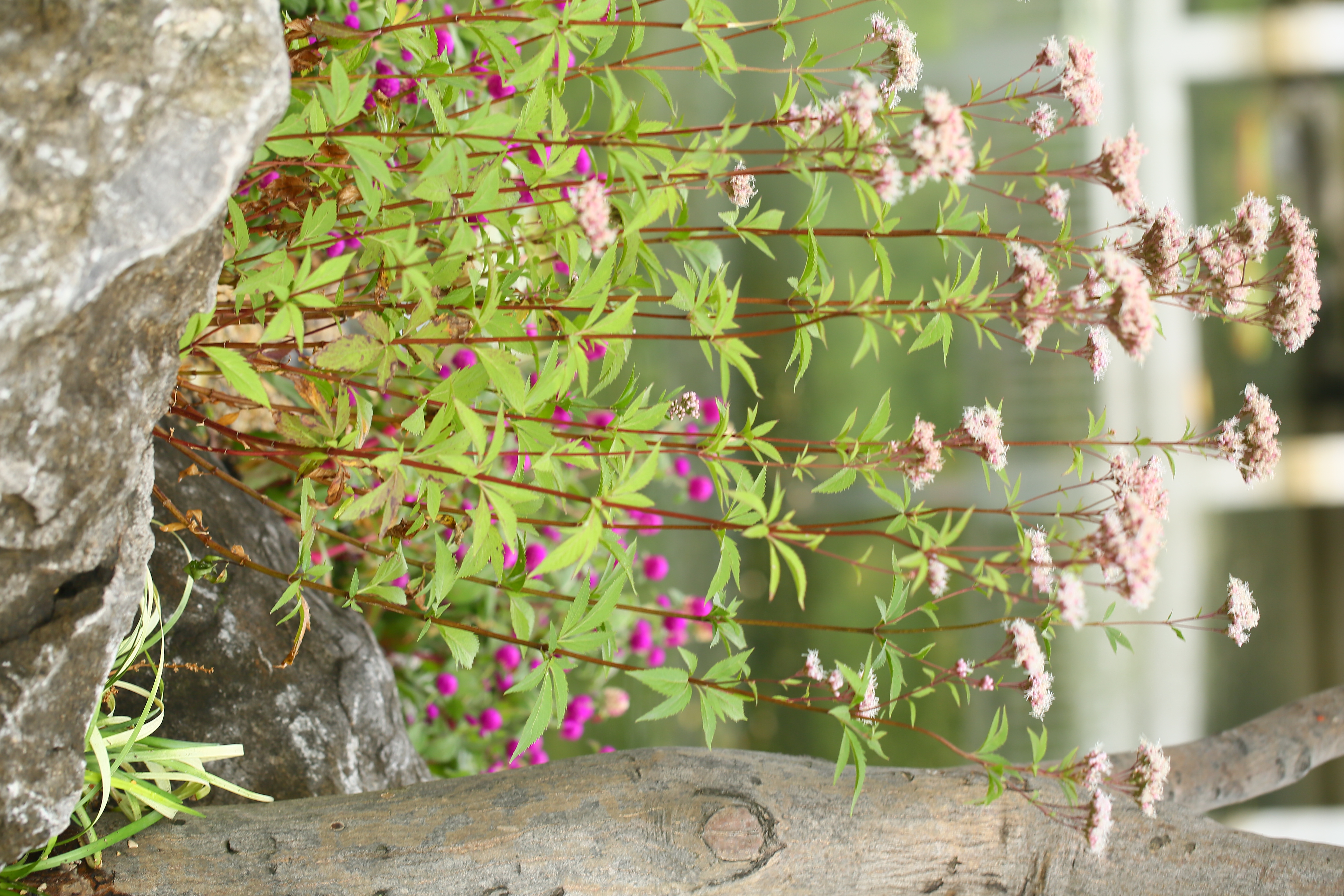 微信图片_20221117154531.jpg 微信图片_20221117154531.jpg