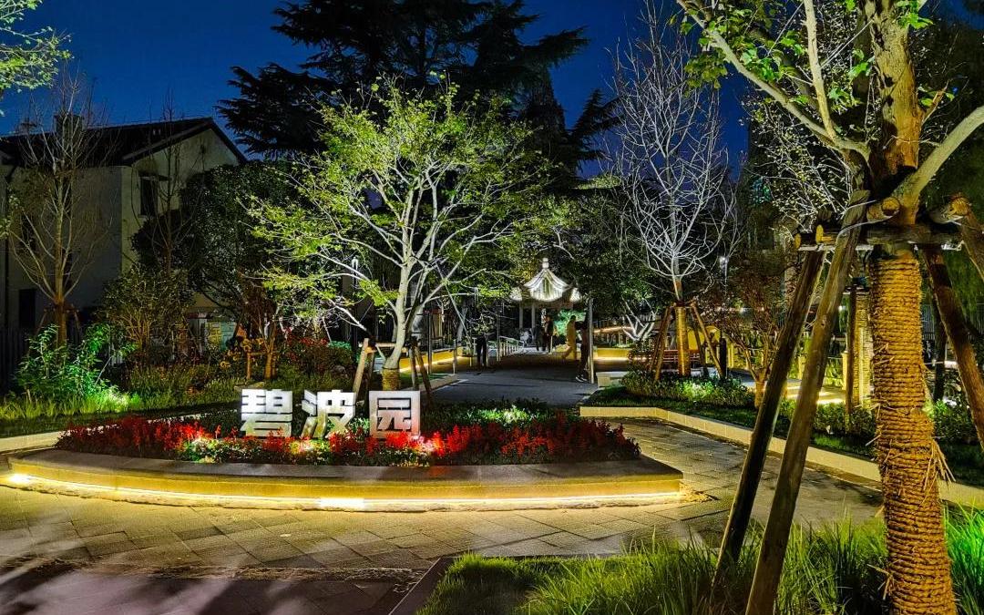 普陀绿化市容工作者点亮灯光打造唯美夜普陀