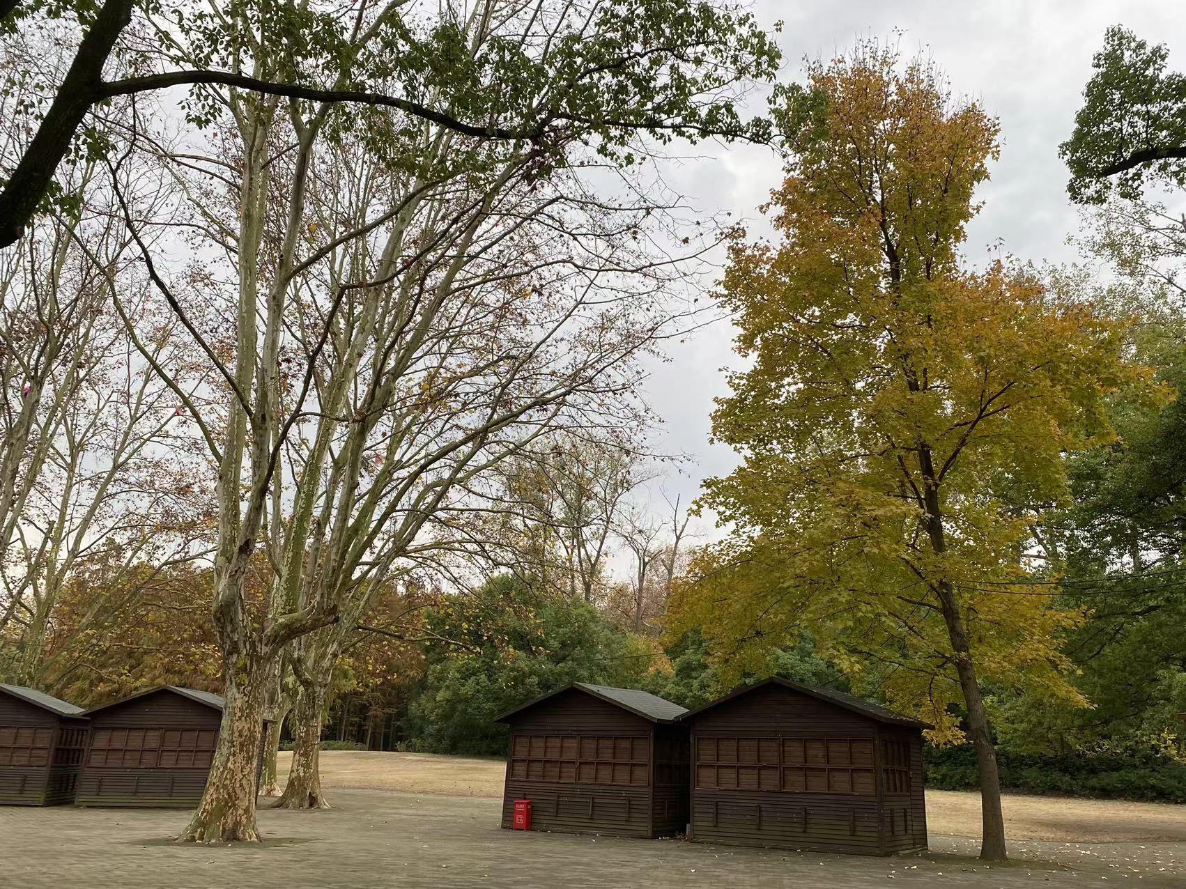 微信图片_20221209090105.jpg 微信图片_20221209090105.jpg