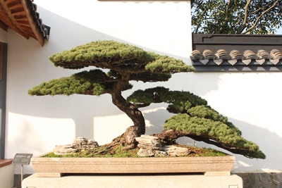 村落在深处.jpg 村落在深处.jpg