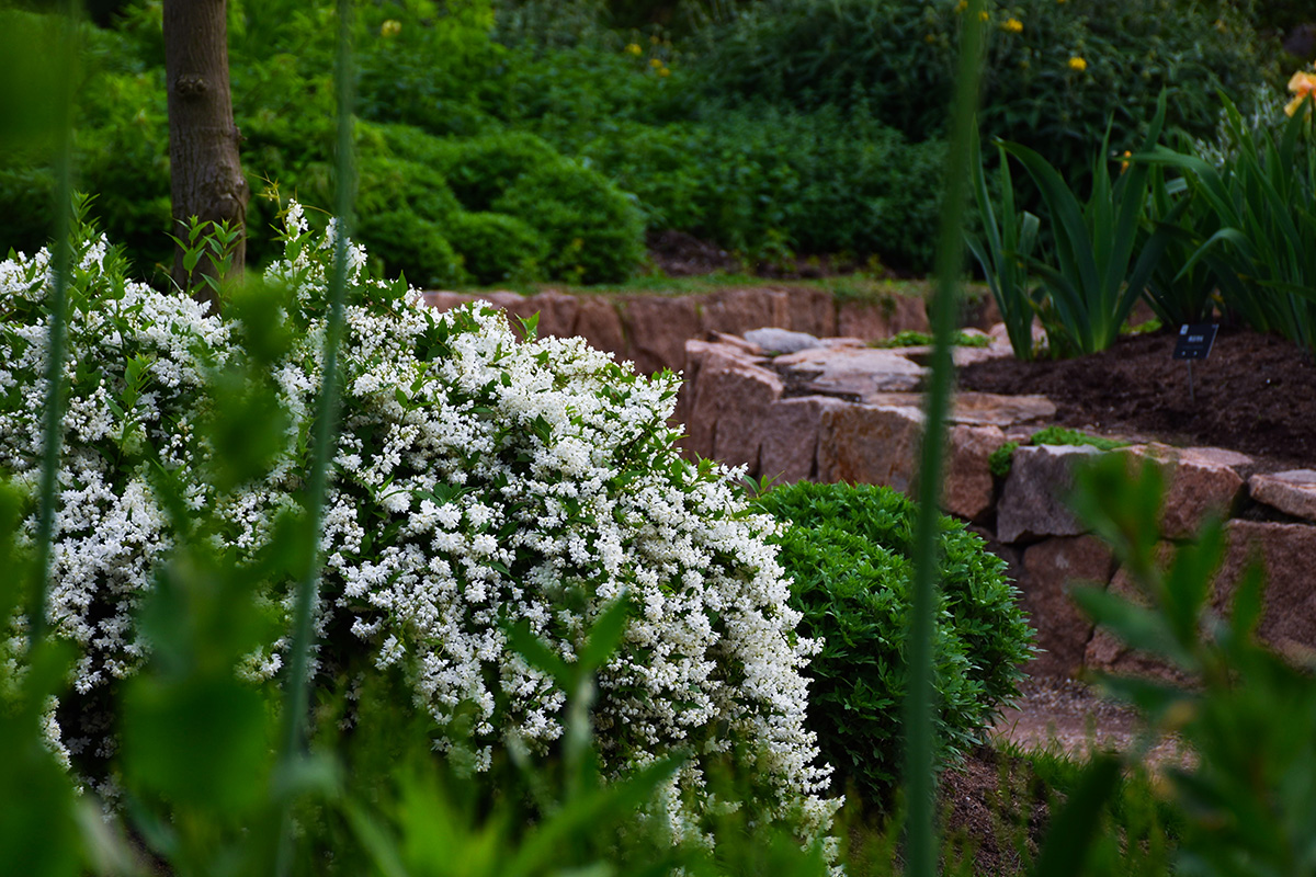DSC_8176.jpg