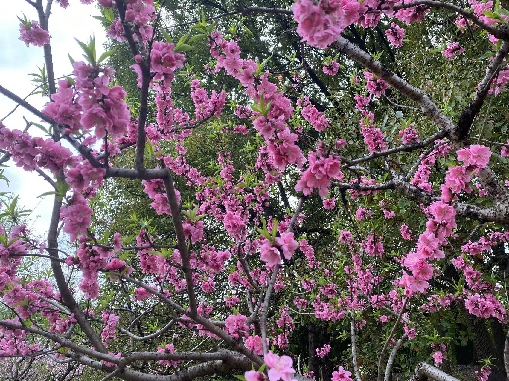 微信图片_20240326111600.jpg