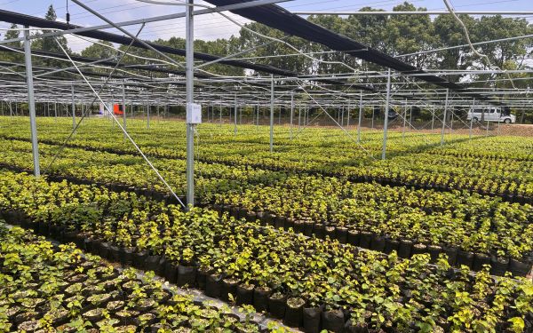 市林业总站召开林木种苗产业工作推进会3.jpg 市林业总站召开林木种苗产业工作推进会3.jpg
