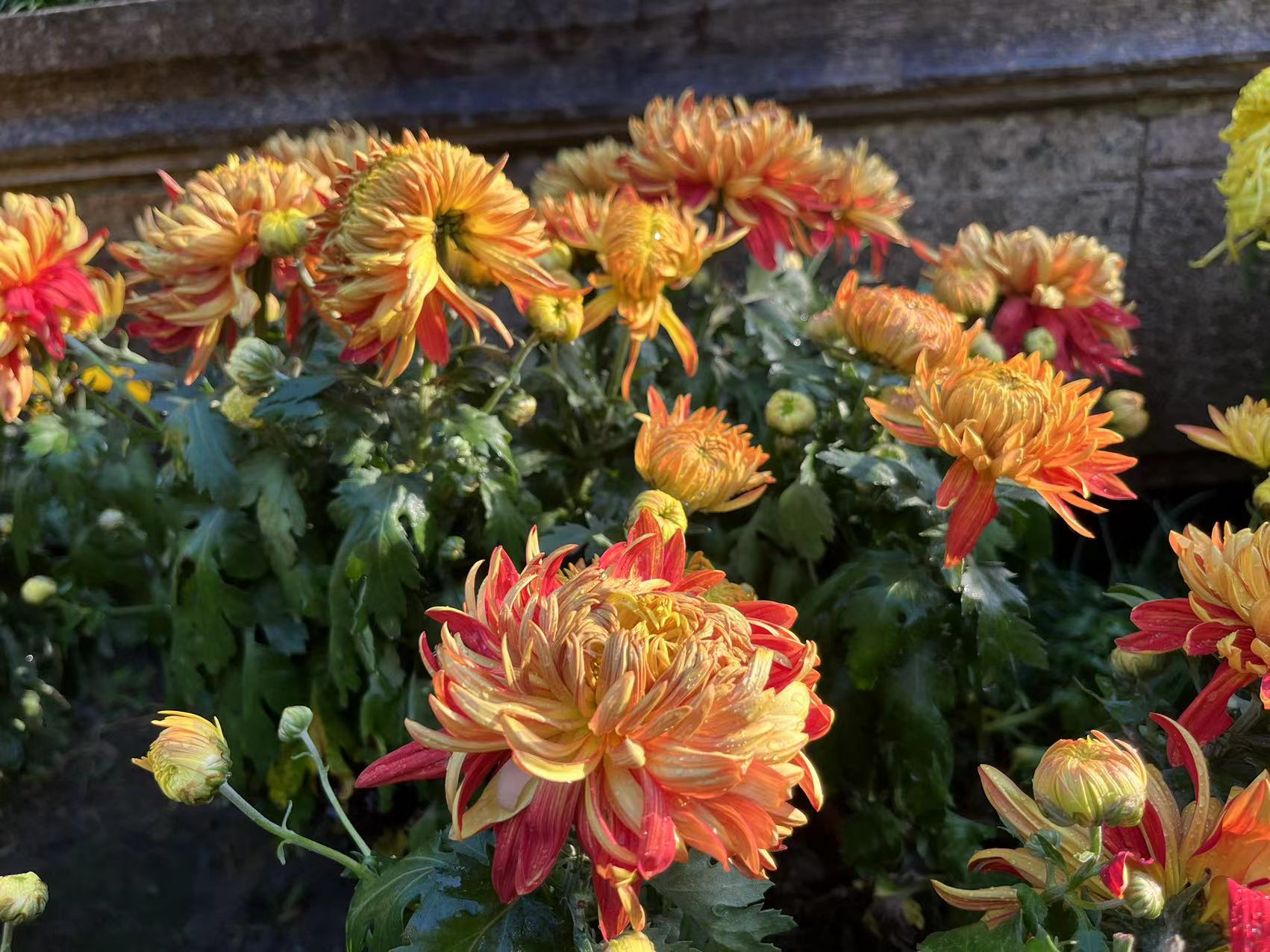 微信图片_20231103160214.jpg 微信图片_20231103160214.jpg