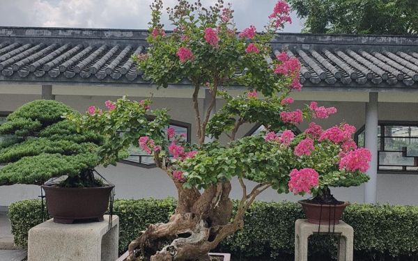 微信图片_20260825085001_1653_189.jpg