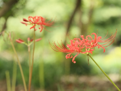 AZ8A9860.jpg AZ8A9860.jpg