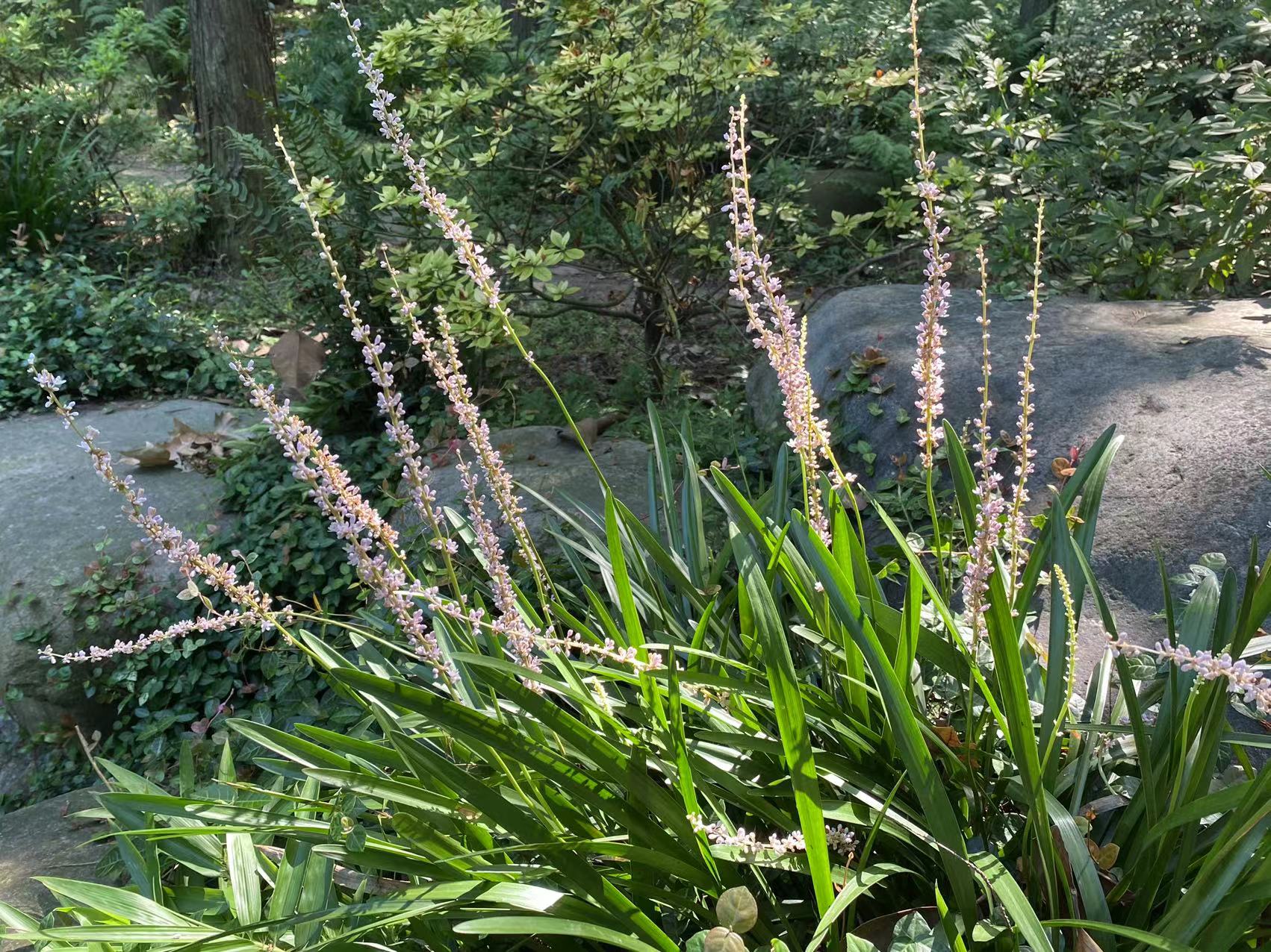 微信图片_20220801160240.jpg 微信图片_20220801160240.jpg