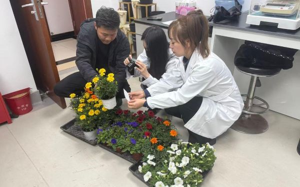 上海市林业总站质检中心积极开展惠企利民花卉检测服务2.jpg