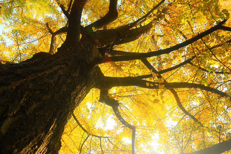 3A4A3498_副本.jpg 3A4A3498_副本.jpg