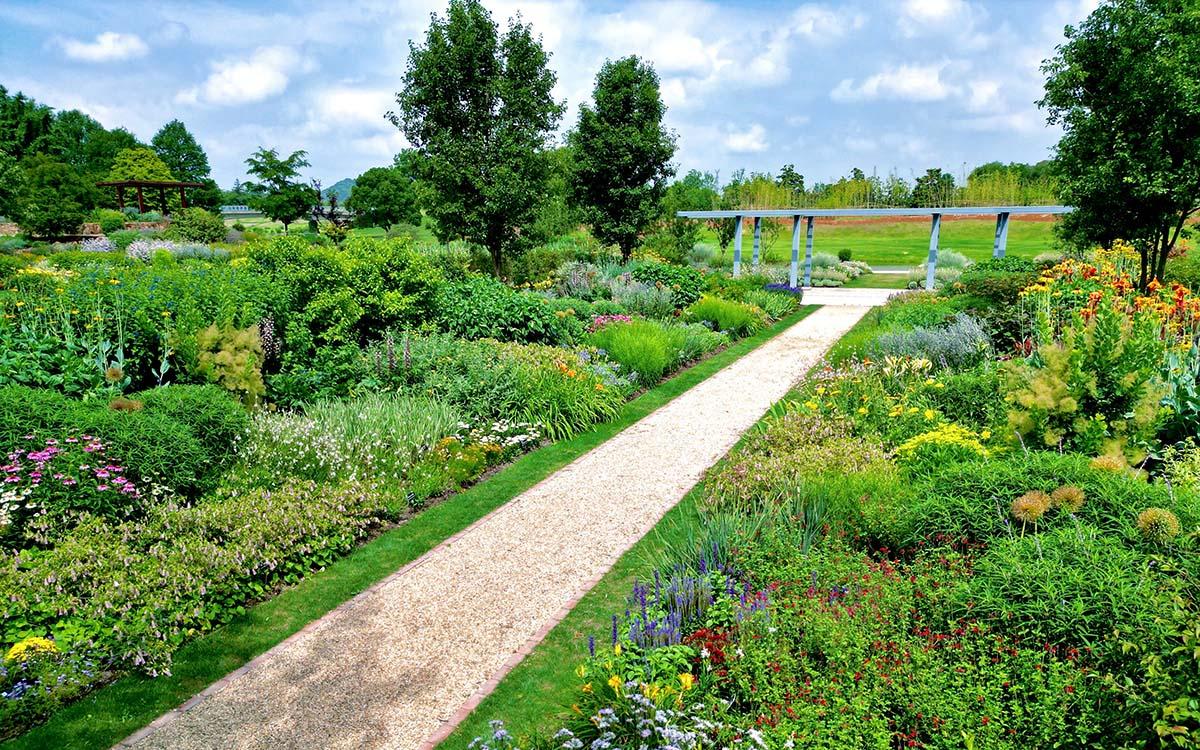 夏日隐藏打卡点辰山植物园球宿根园对称式花境进入最佳观赏期