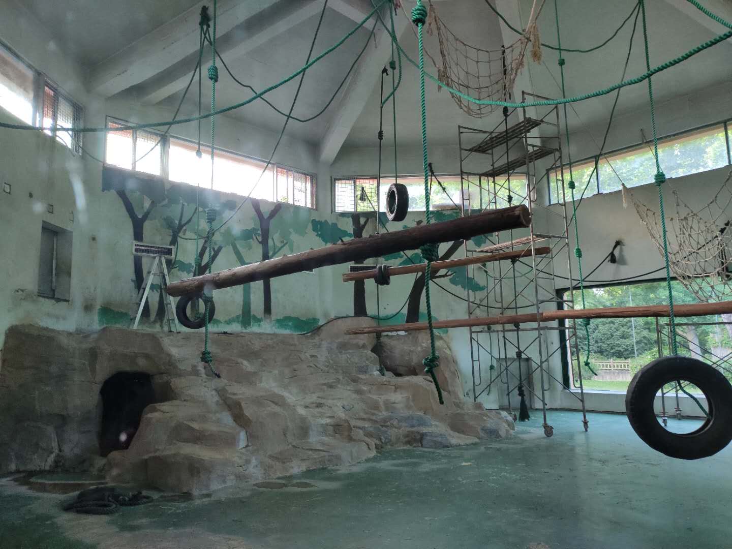 大猩猩展厅居家装修  环境丰容进行时 (1).jpg