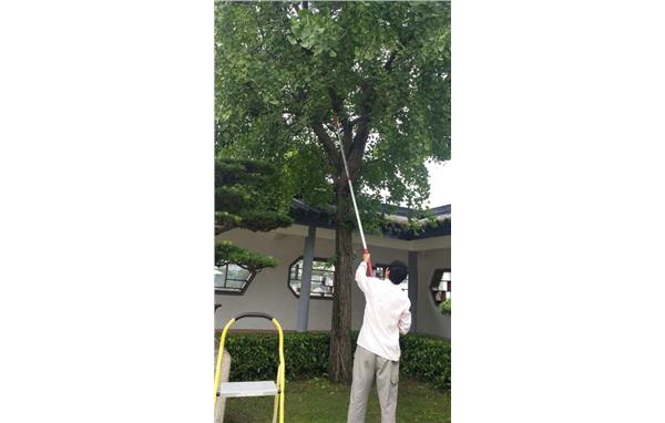 巡园及整改 (1).jpg 巡园及整改 (1).jpg