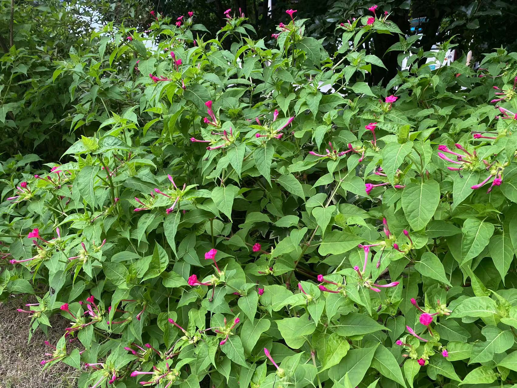 微信图片_20230719155523.jpg 微信图片_20230719155523.jpg