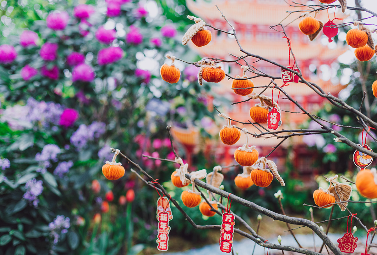 湖北——登春台 (3).jpg