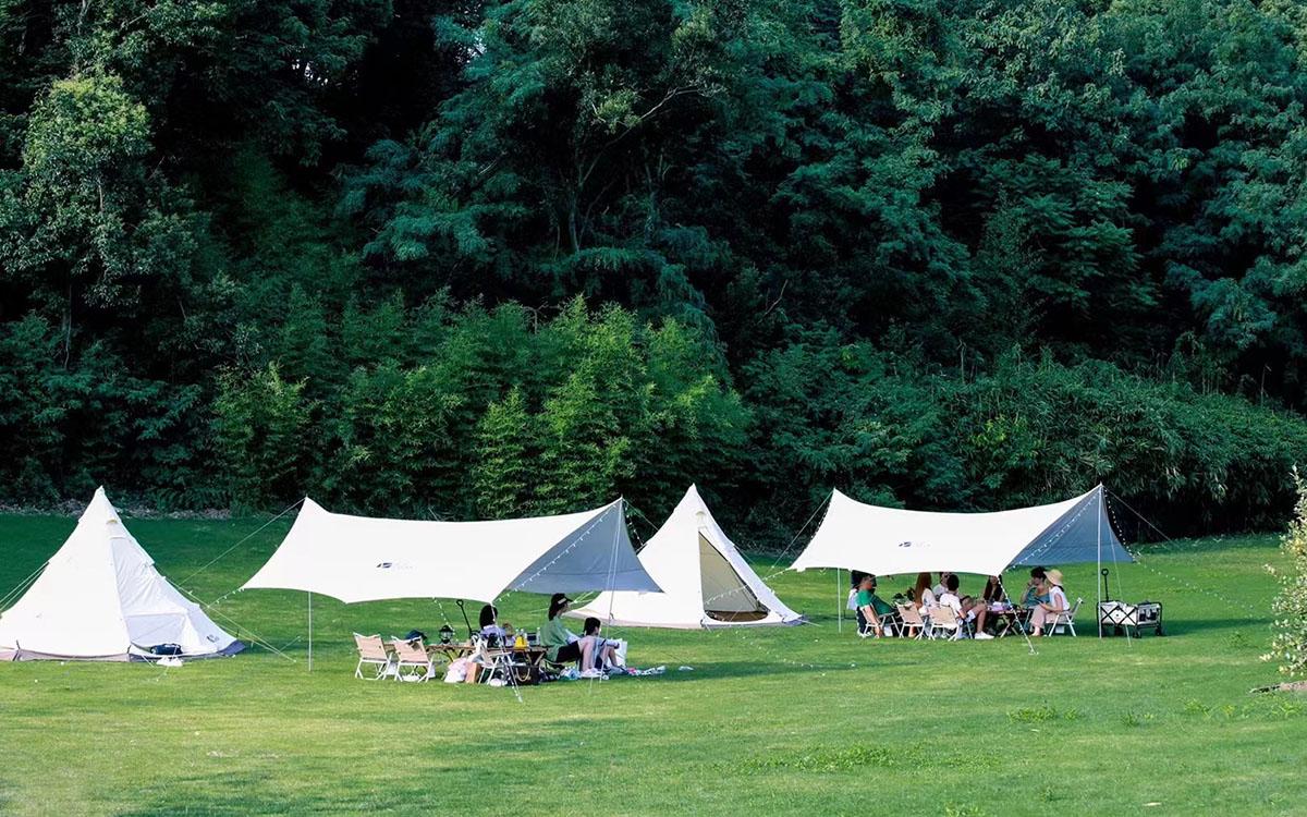 向野而生绿野生活2023辰山植物园五一草地亲子露营节上线