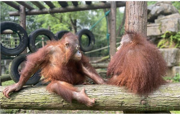 微信图片_20210525095153.jpg 微信图片_20210525095153.jpg