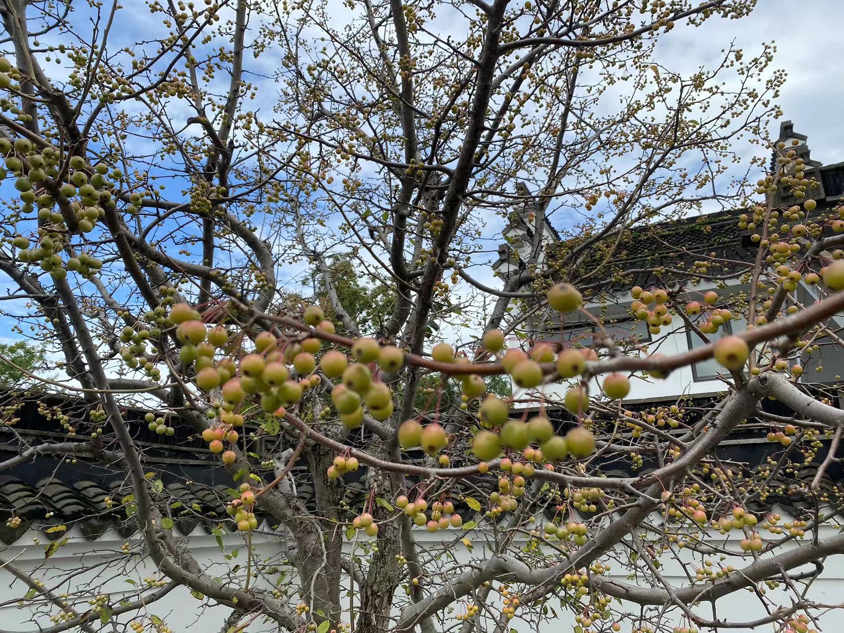 微信图片_20231009104641.jpg