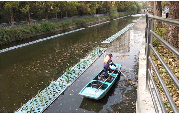 001美化环境为“创城”三分开展地毯式河道保洁2.jpg