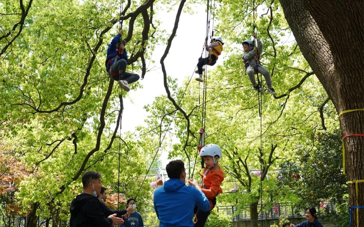 攀树动作及过程 (2).jpg