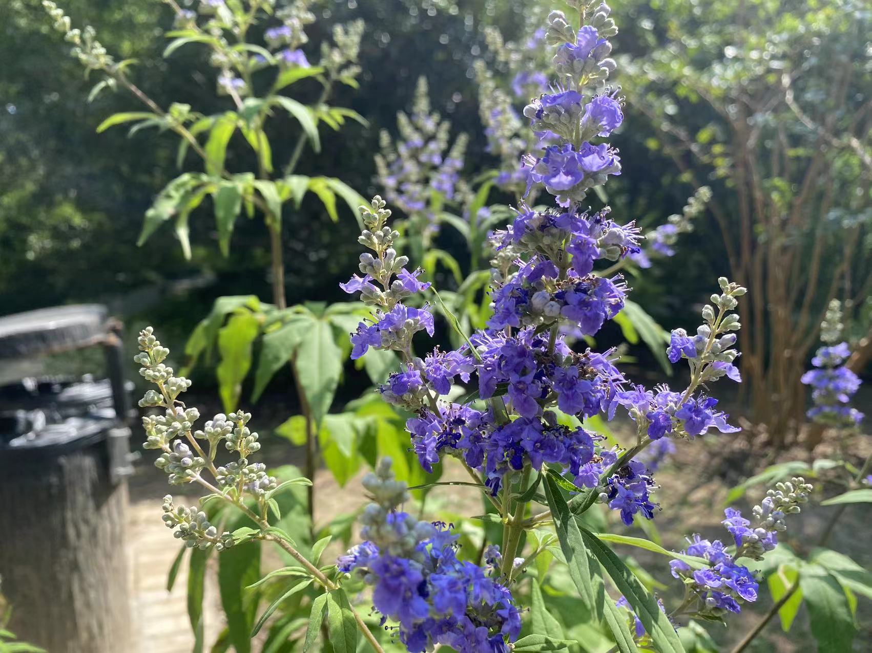 微信图片_20240617152608.jpg