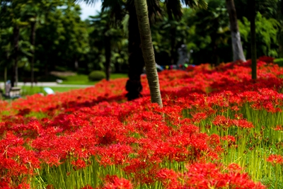 DSC_0259.jpg DSC_0259.jpg