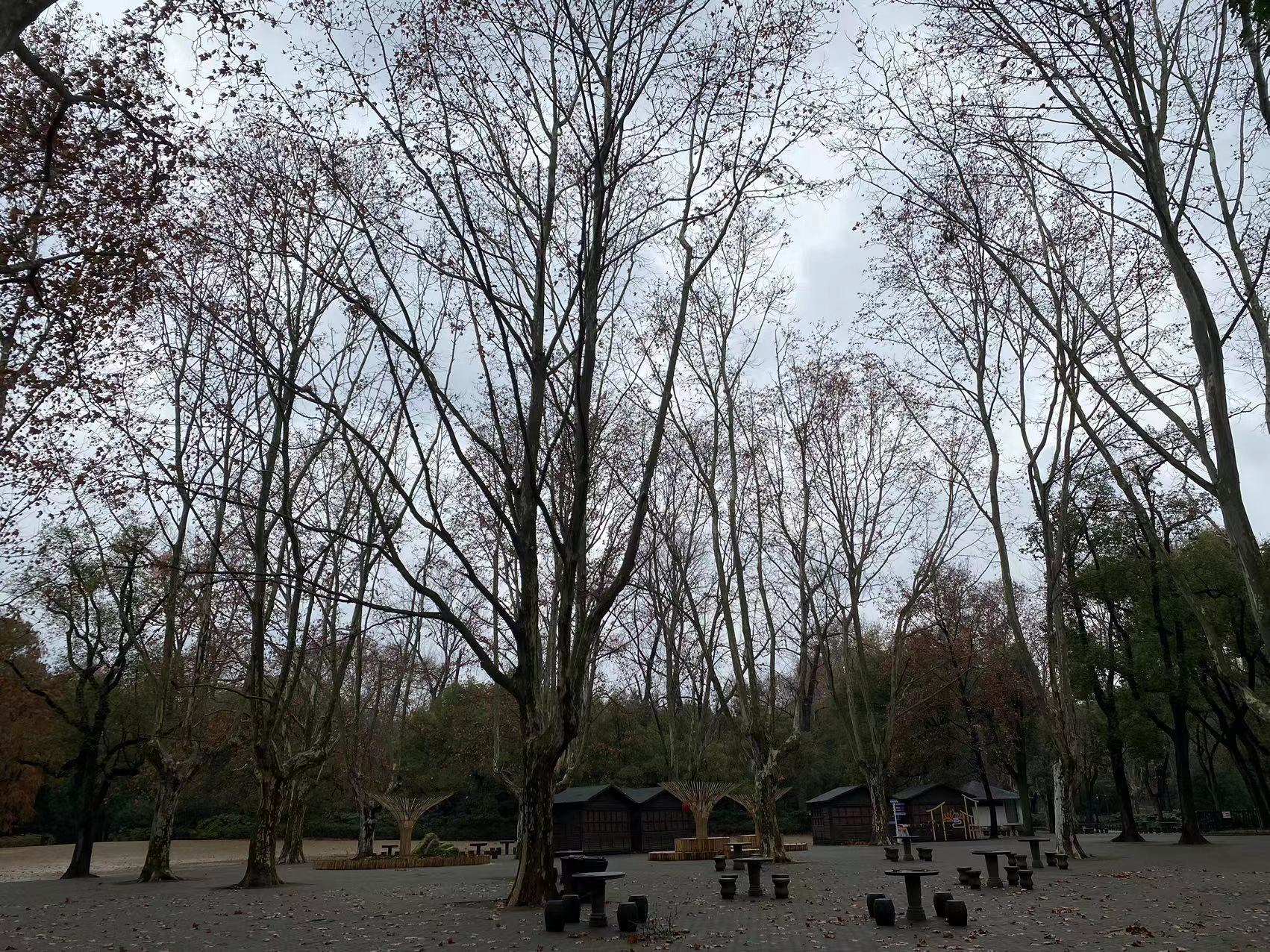 微信图片_20231219152313.jpg