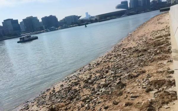 48 (3).jpg 48 (3).jpg