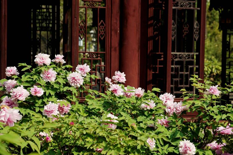 image005.jpg