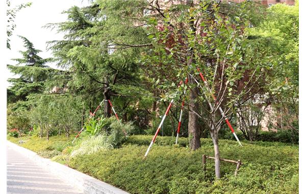 IMG_9048.jpg IMG_9048.jpg