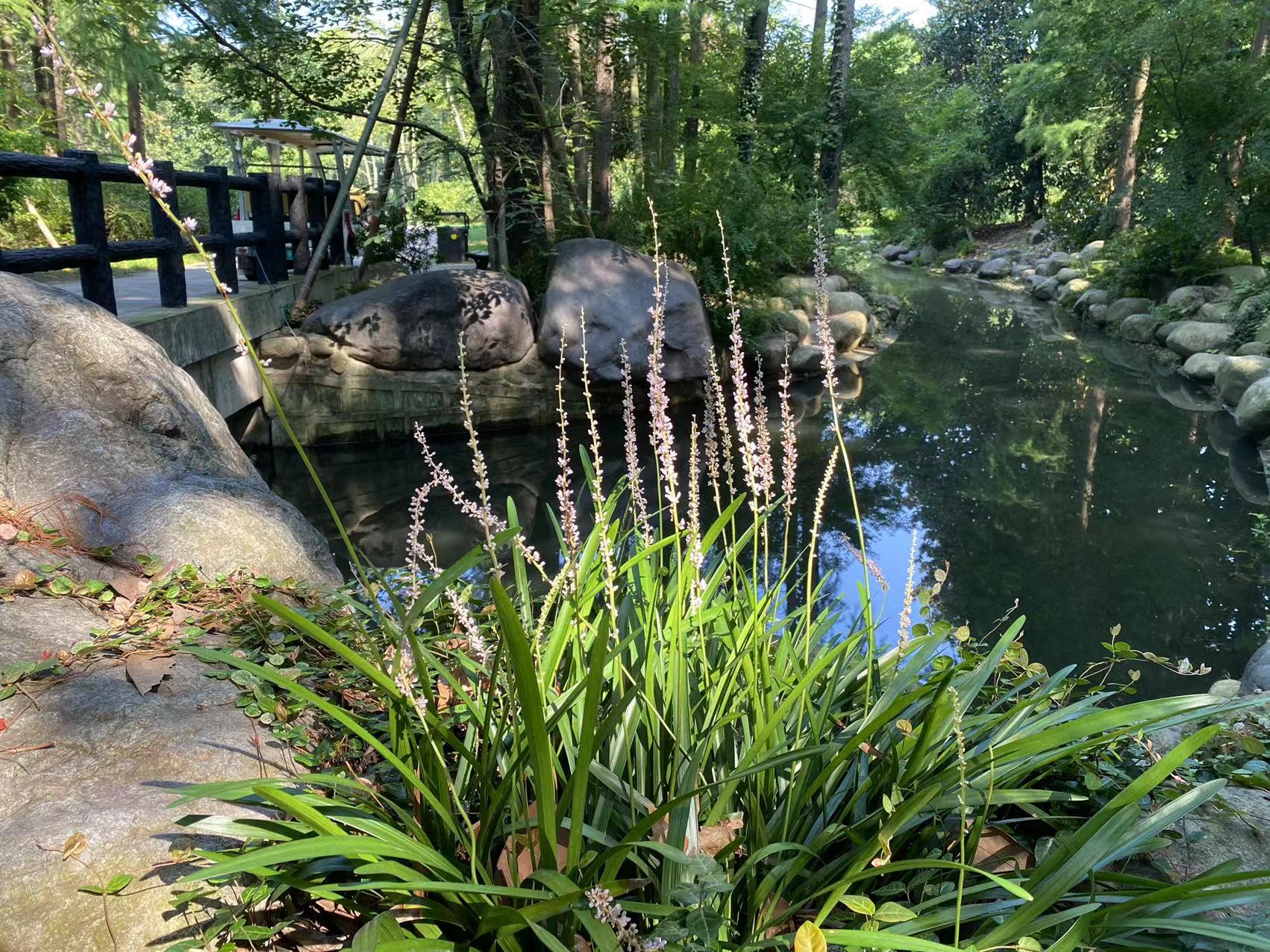 微信图片_20220801160245.jpg 微信图片_20220801160245.jpg