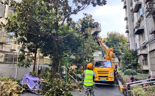 cc3122e73a9a2437a33ab637e206a774.jpg cc3122e73a9a2437a33ab637e206a774.jpg