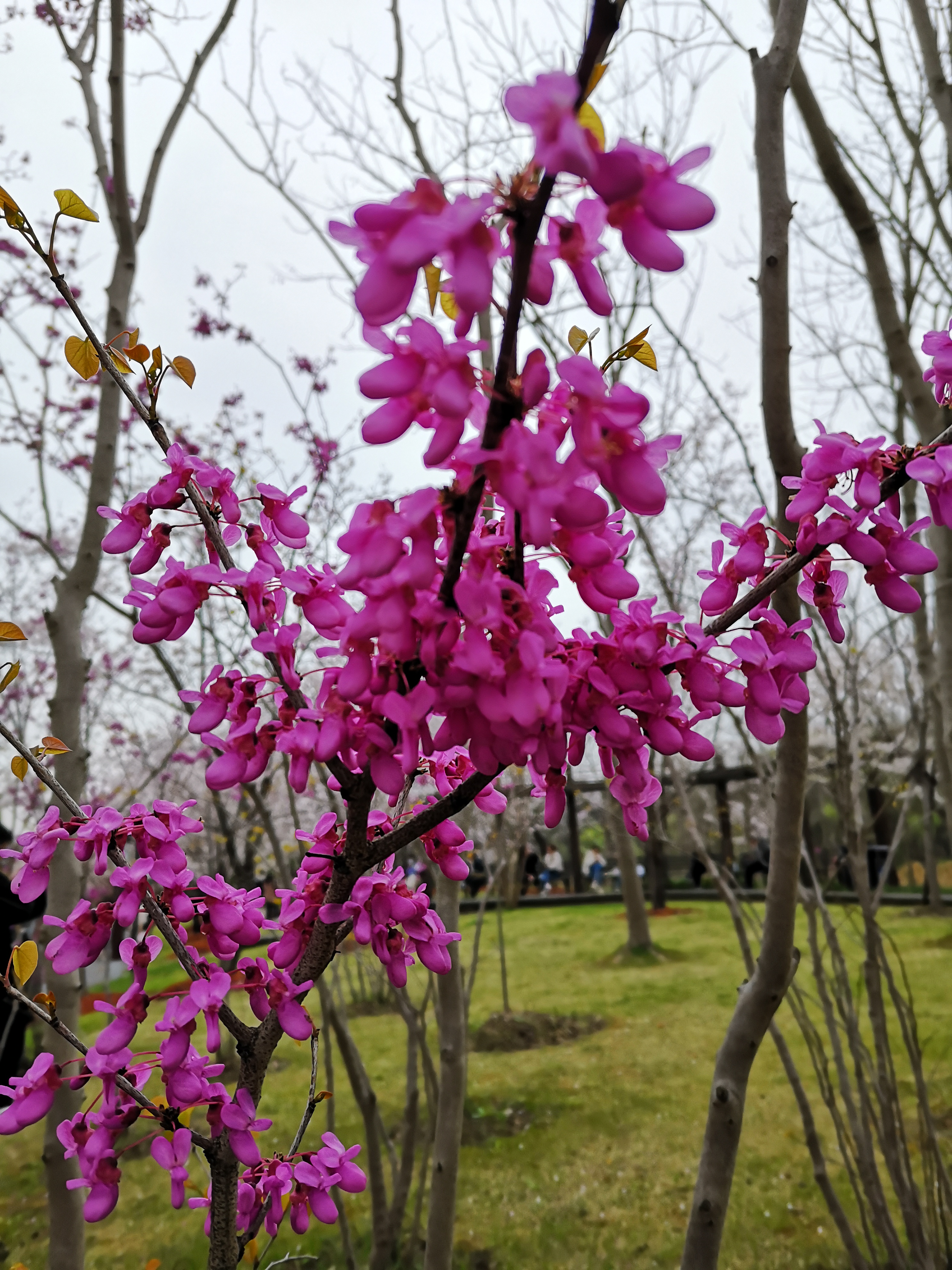 微信图片_20230327102517.jpg