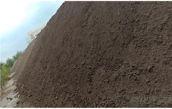 上海市园林科学规划研究院全程致力世博文化公园绿化种植成品土质量