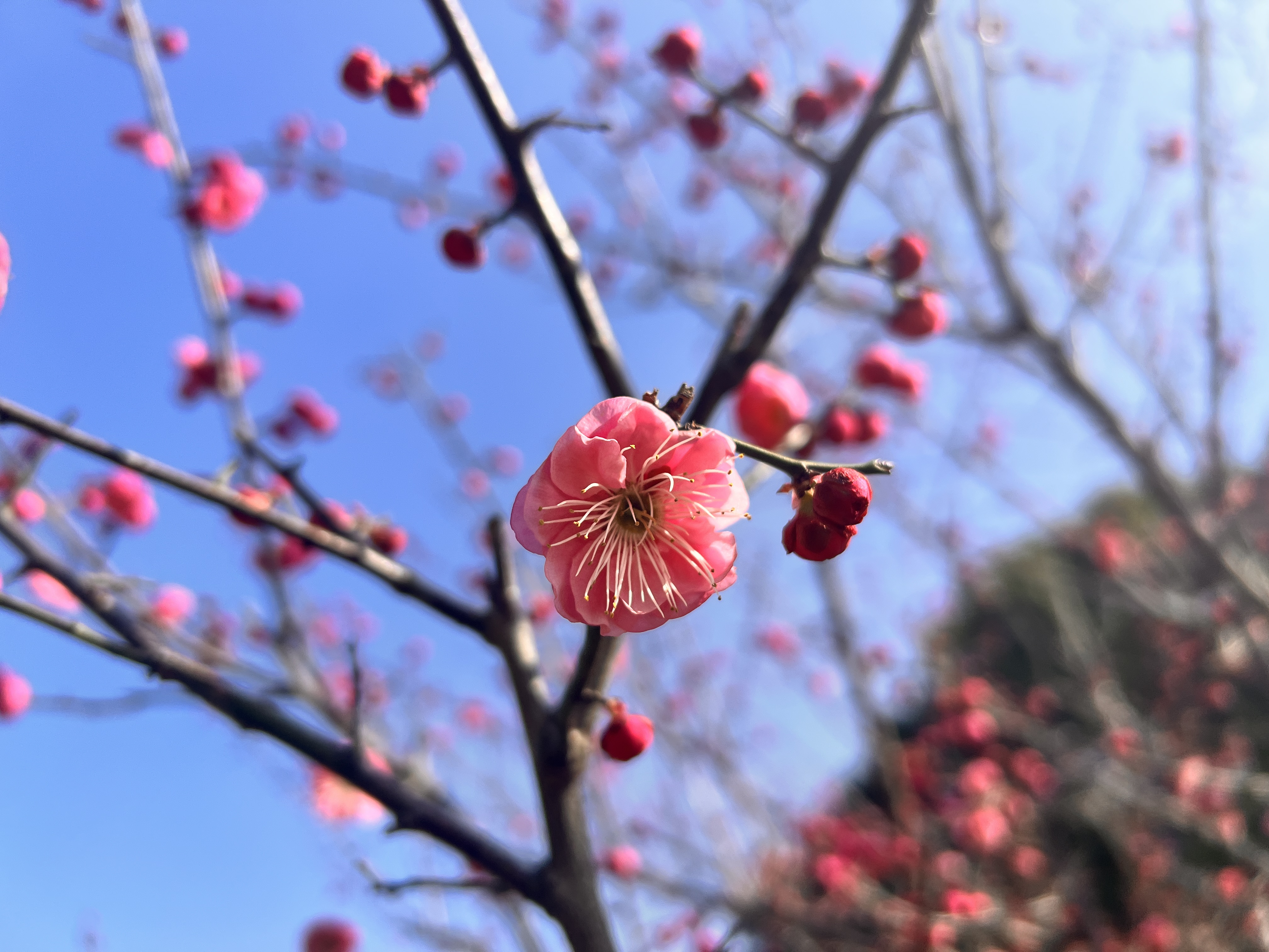 微信图片_20230216151322.jpg