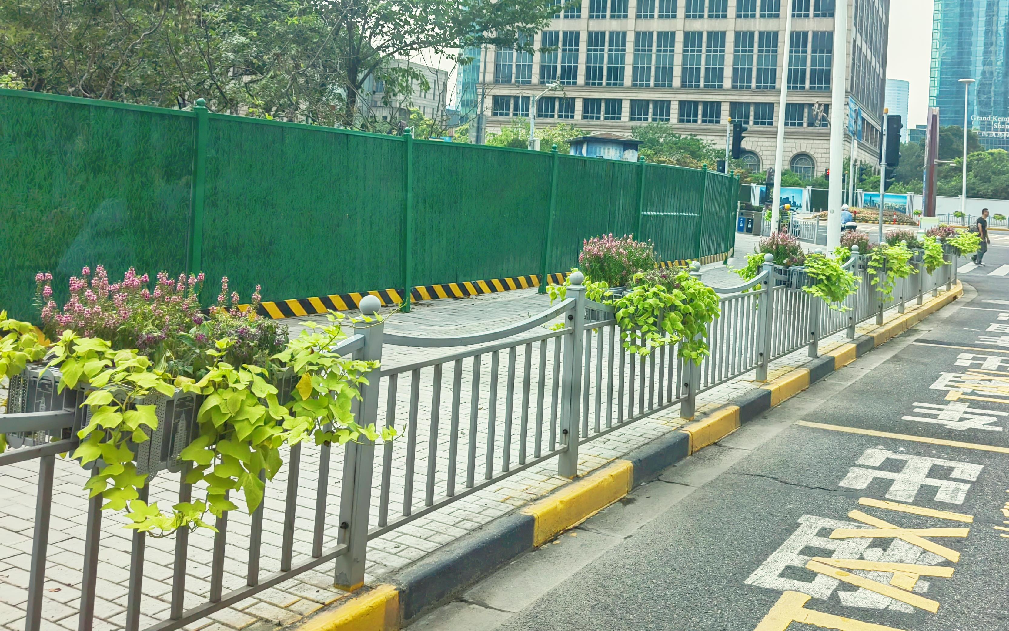 2 陆家嘴环路套盆栽植.jpg