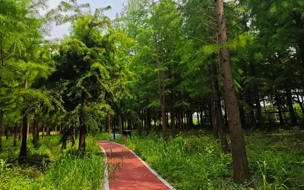 BodyPart_e47c3d37-d810-4a48-b638-bbbf3a9a50c9.jpg BodyPart_e47c3d37-d810-4a48-b638-bbbf3a9a50c9.jpg