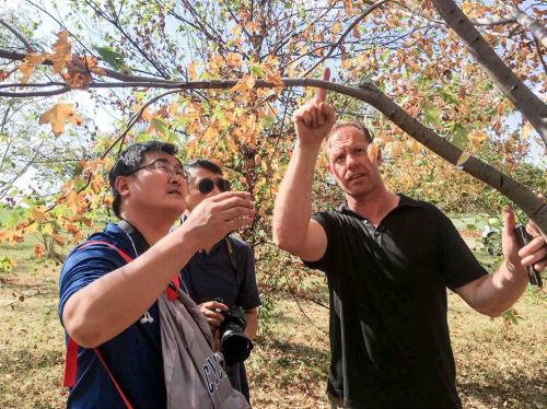 4-2017 年 9 月 14 日，杨瑞卿与国外专家交流树木修剪技术.jpg