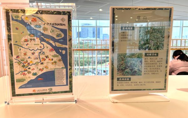 _行阅自然_林下藏珍_药香护生__世界野生动植物日主题科普展_在少儿图书馆举办3.jpg