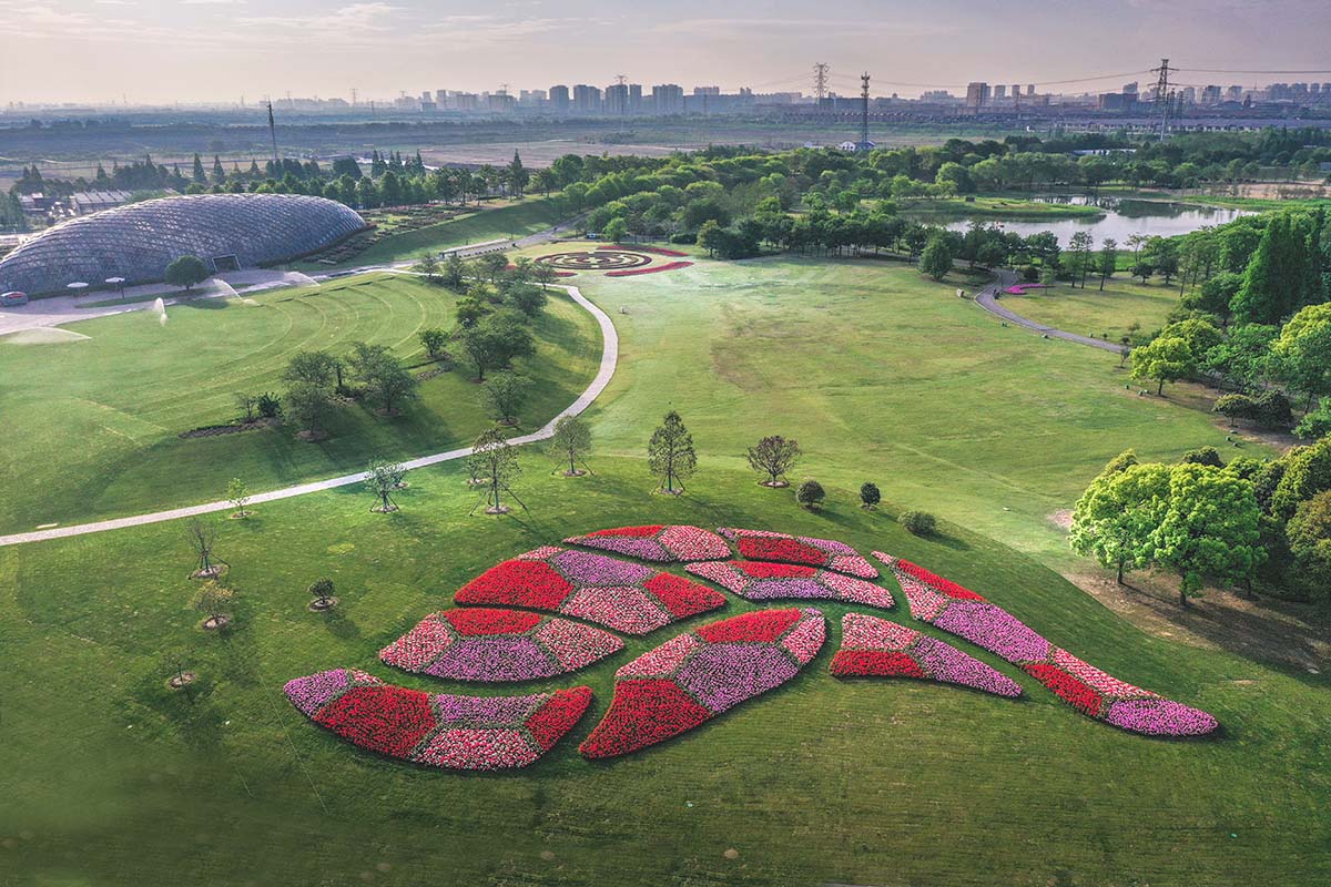 经典有新意 辰山植物园"辰山印象"主题花坛焕然升级