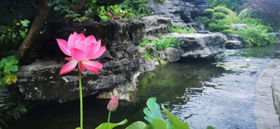 305ca30fd10f7410ee642a8ca29532e.jpg 305ca30fd10f7410ee642a8ca29532e.jpg