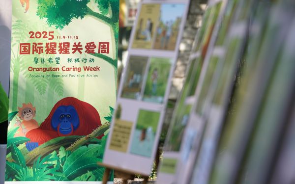 2025-11-15 110936.jpg