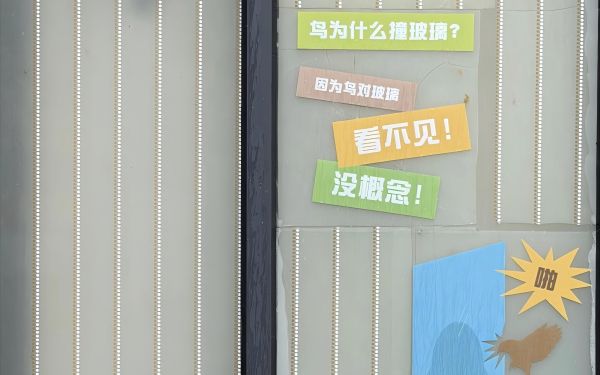 图5.jpg 图5.jpg