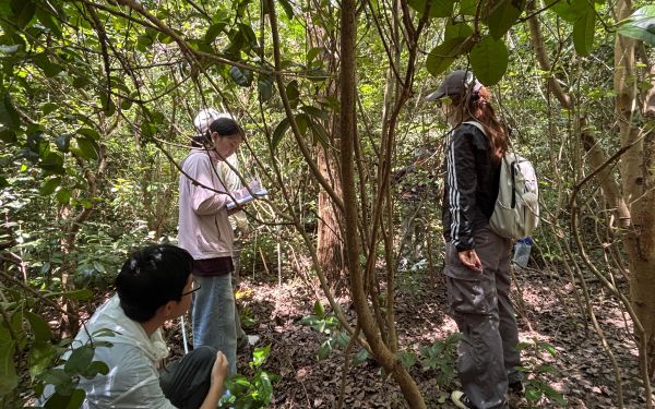 市林业总站启动上海城市森林抚育成效及松江大样地调查1.jpg 市林业总站启动上海城市森林抚育成效及松江大样地调查1.jpg