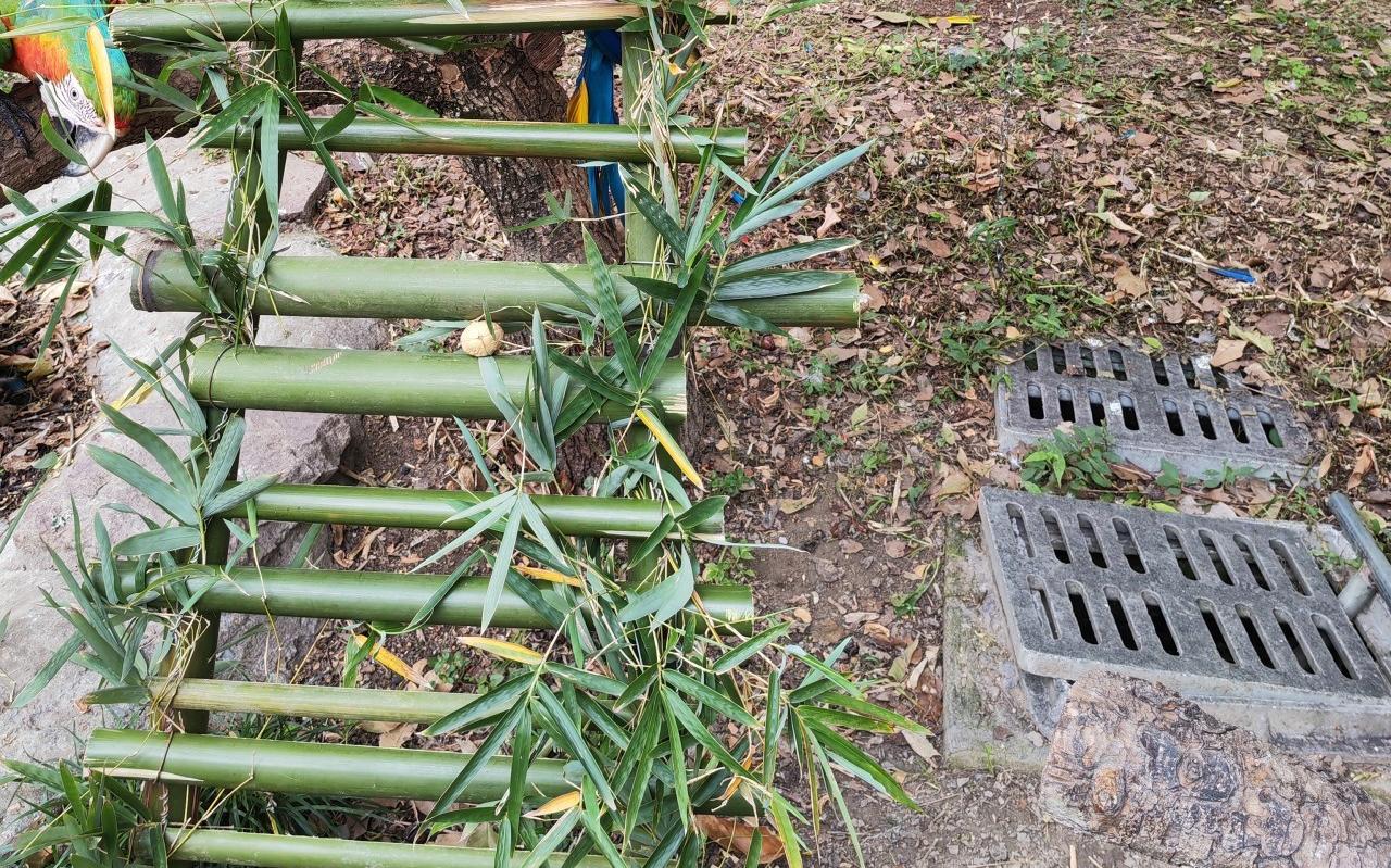 微信图片_20230630082215.jpg 微信图片_20230630082215.jpg