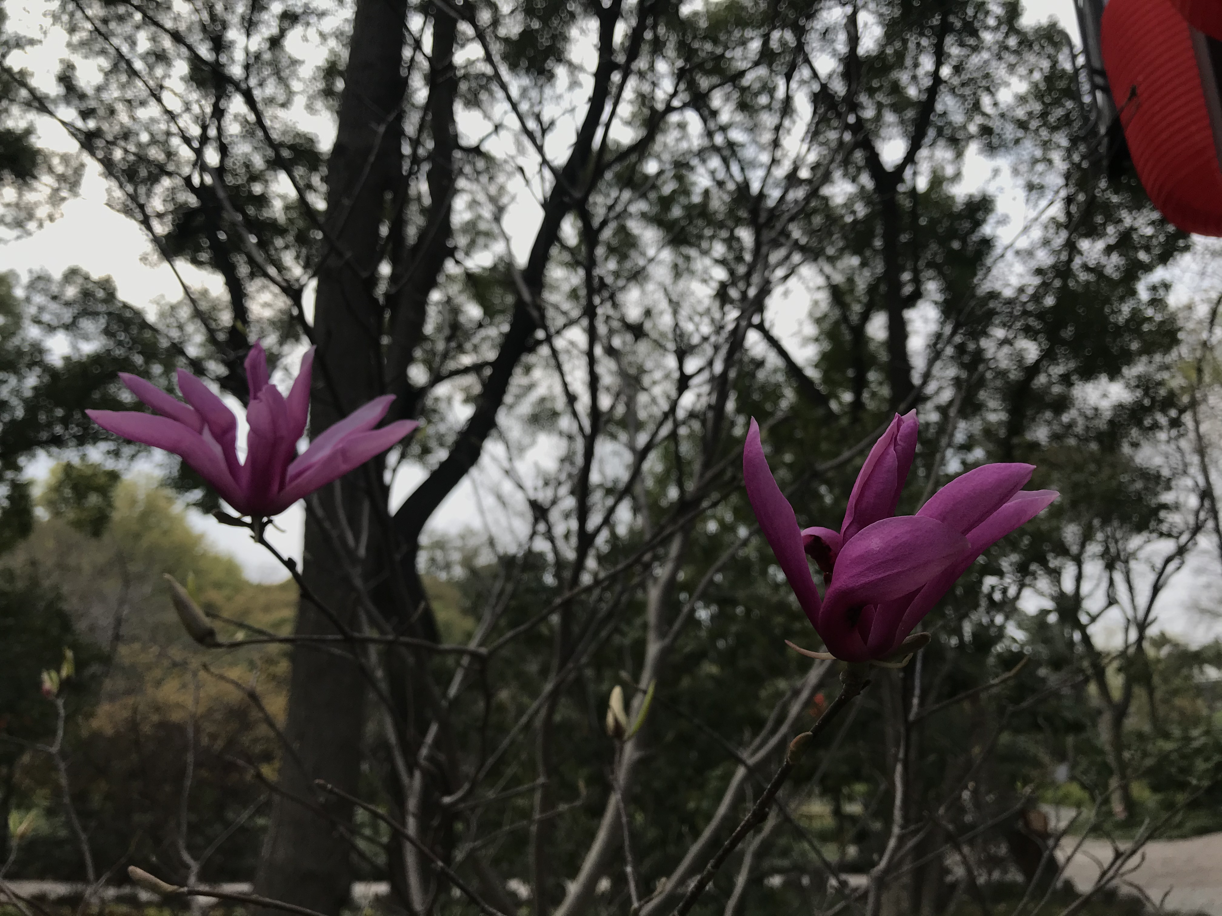 微信图片_20210324100308.jpg 微信图片_20210324100308.jpg