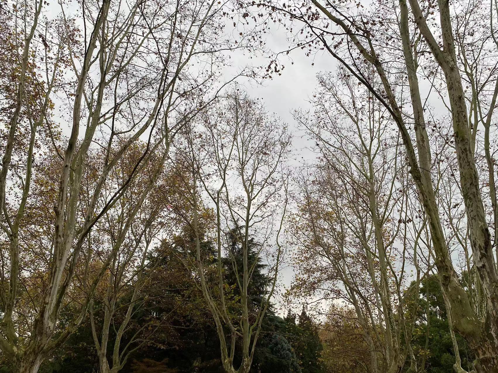 微信图片_20221209090102.jpg 微信图片_20221209090102.jpg