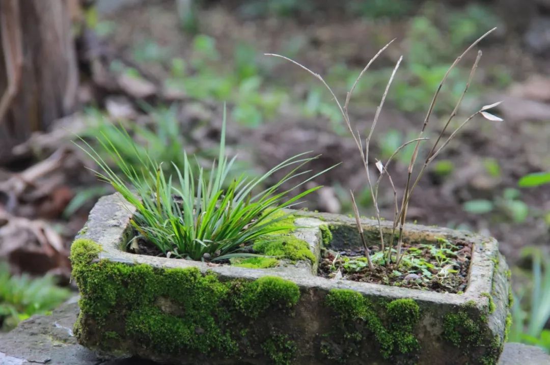 微信图片_20221019101216.jpg 微信图片_20221019101216.jpg